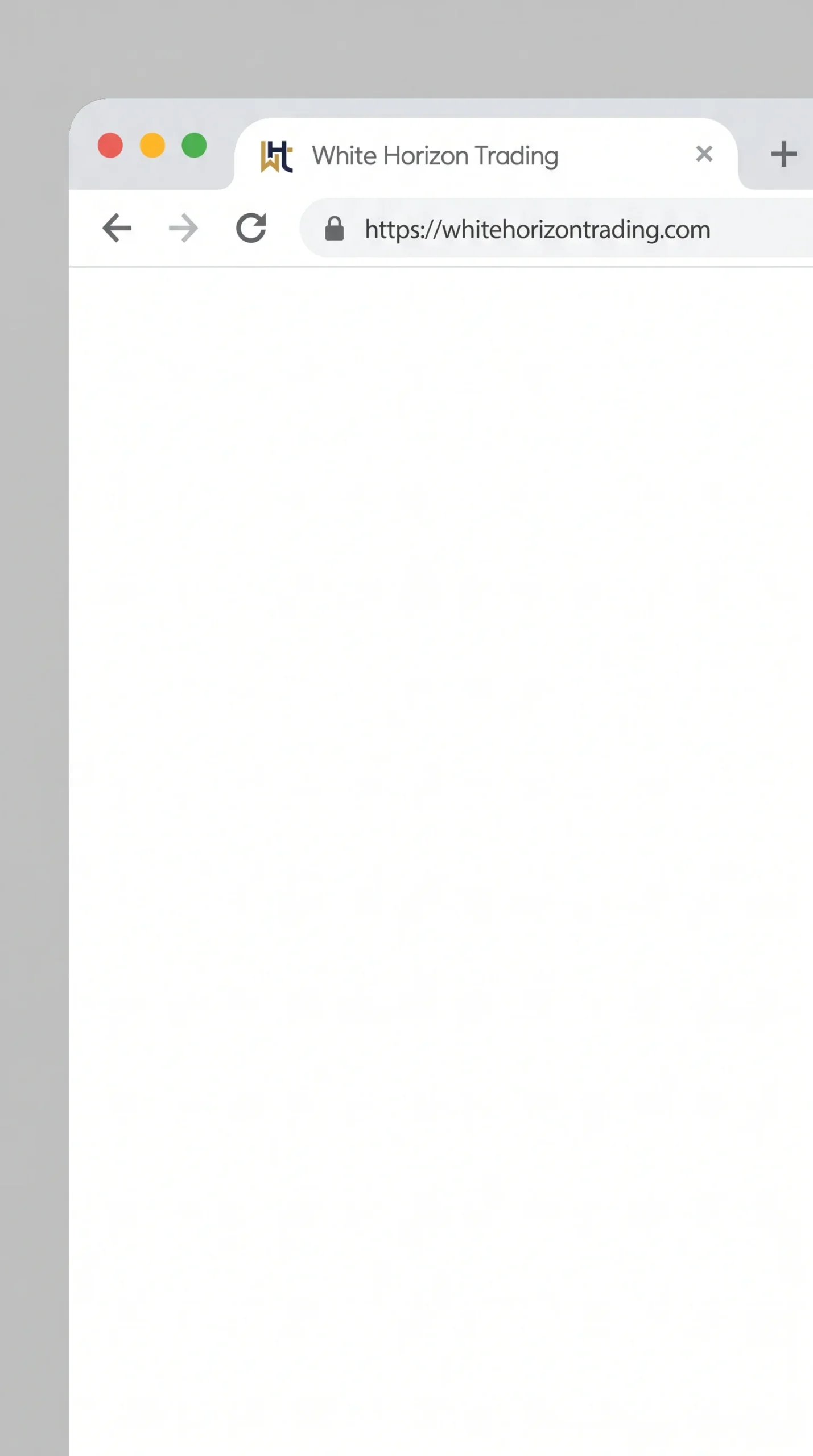 White Horizon project image 3